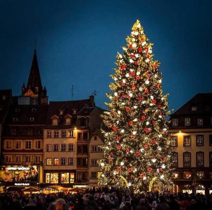 Gites Spa Strasbourg - Villa Ours - Spa Prive, Sauna, Borne D'Arcade, Babyfoot Ittenheim Bagian luar foto